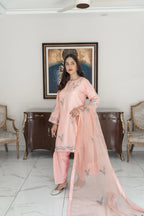 A woman models a light pink traditional three-piece suit with matching dupatta in an elegant indoor setting. The suit features delicate silver and green floral embroidery on the kurta and pants, paired with matching pink trousers and a sheer dupatta.